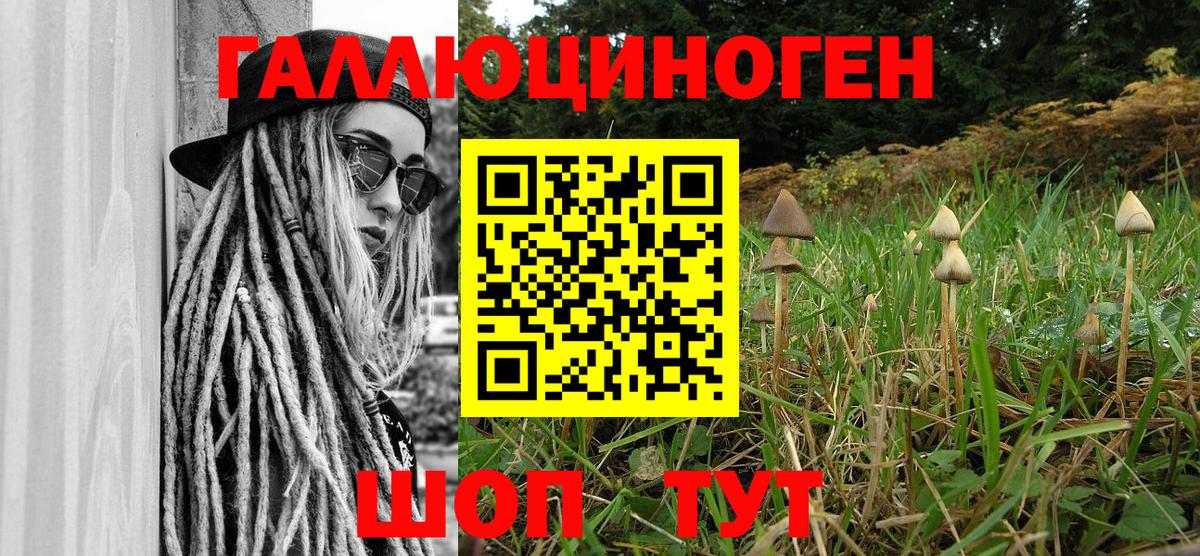Кропоткин  как найти   Вход с VPN  Псилоцибиновые грибы ЛСД 